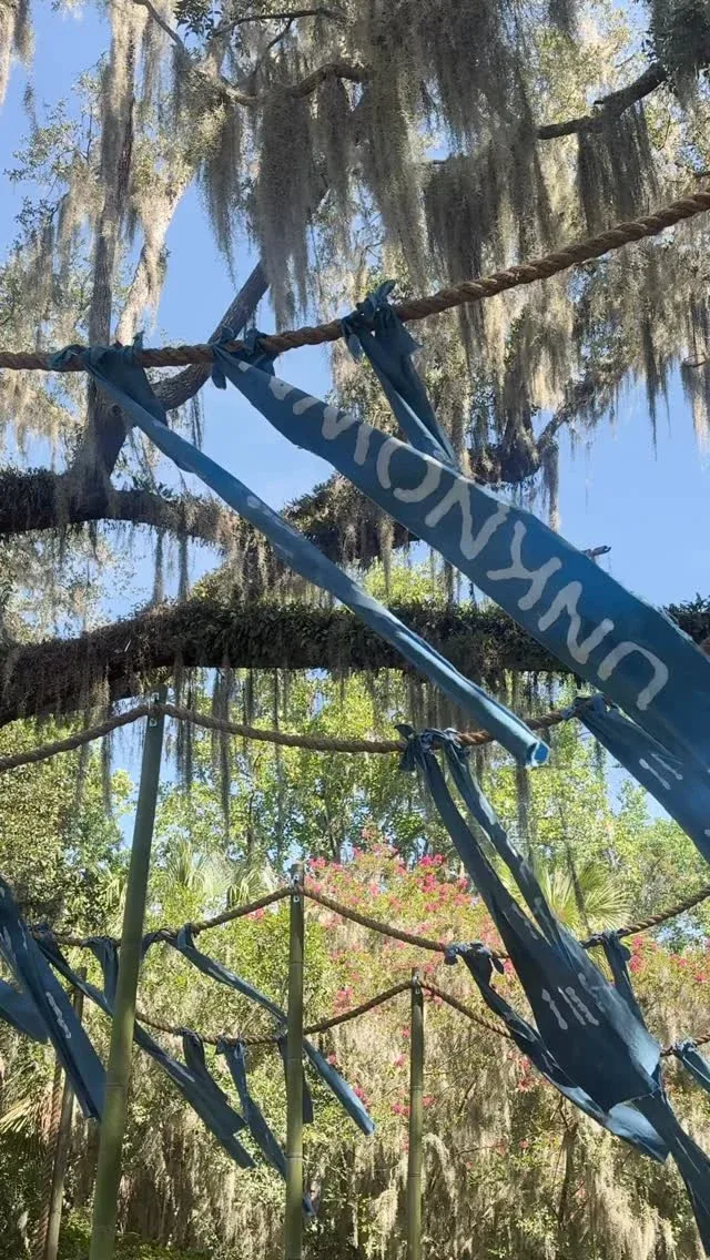 Video by Magnolia Plantation & Gardens on August 21, 2026. May be an image of tree, grass and text that says 'UNKNOW'.