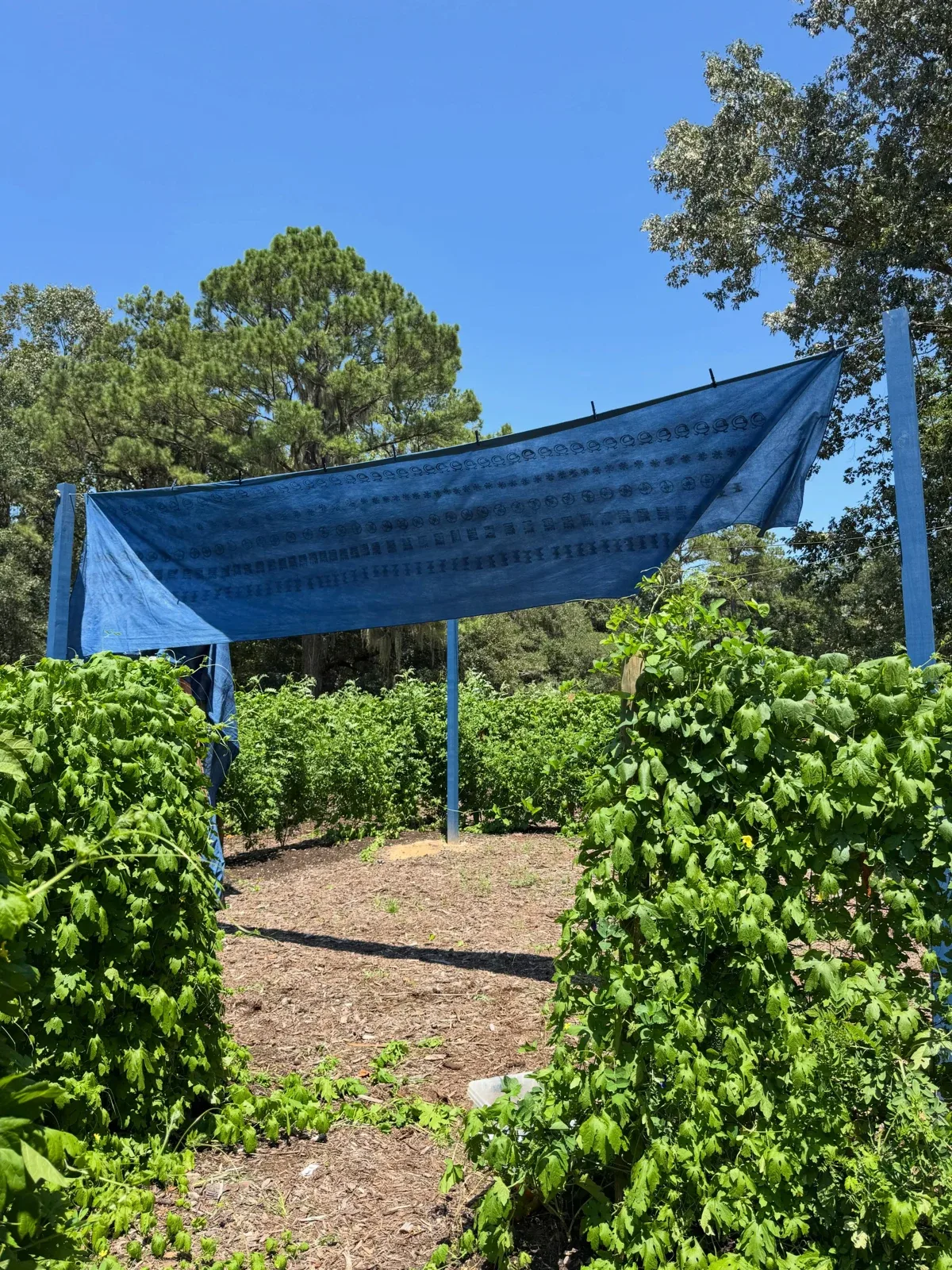 Photo by Align the Fibers on August 23, 2026. May be an image of park and text.