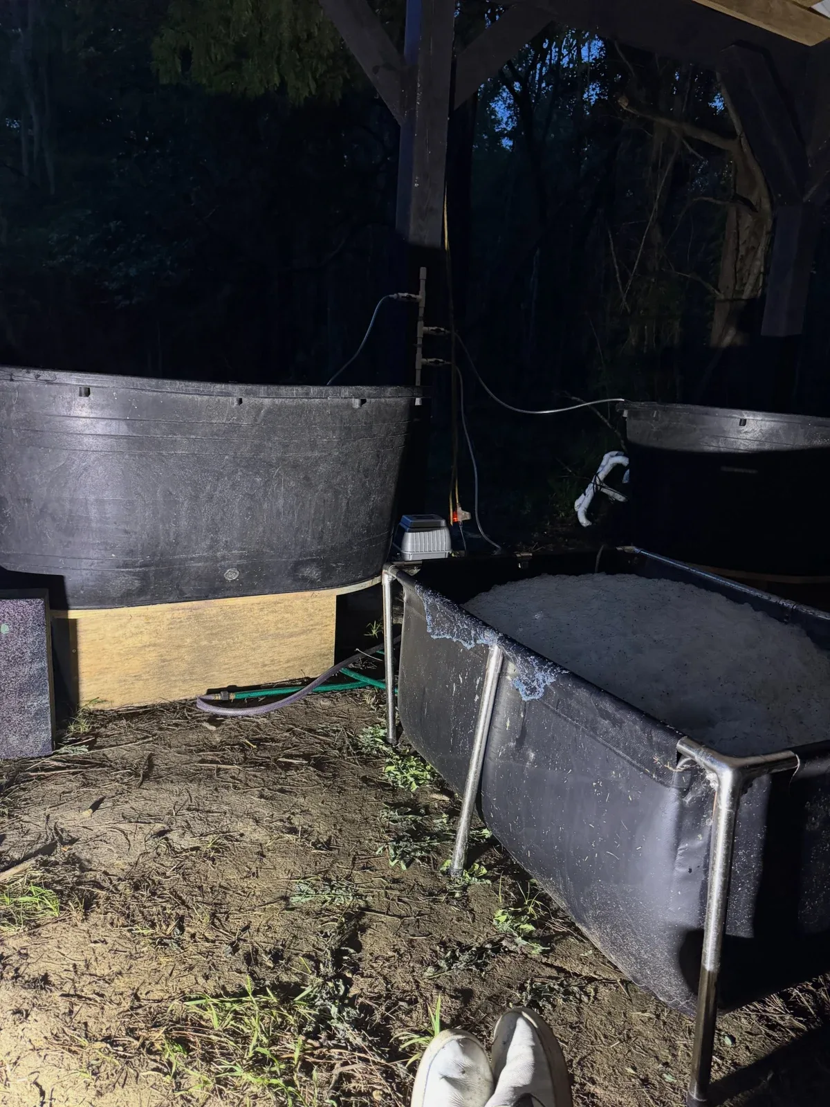 Photo by Align the Fibers on September 19, 2026. May be an image of deer, cold frame and text.