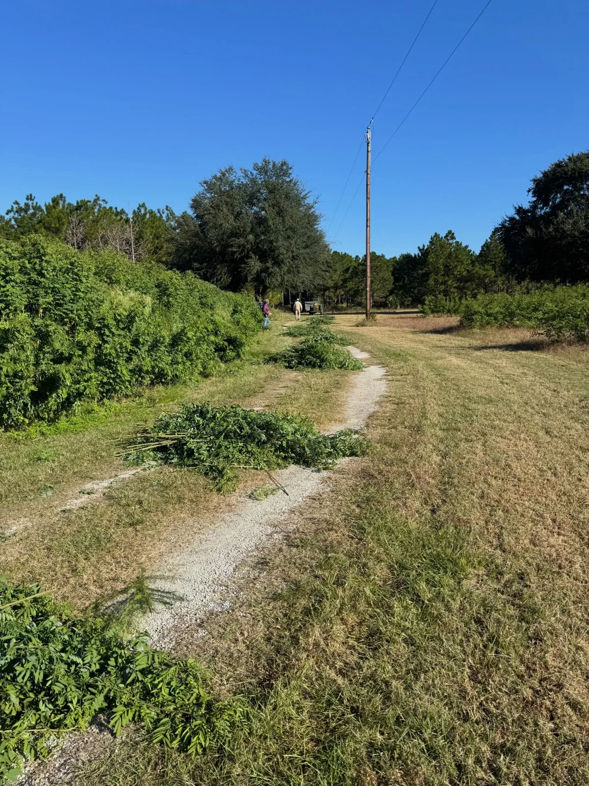 Photo by Align the Fibers on October 25, 2026. May be an image of grass, telephone pole and text.
