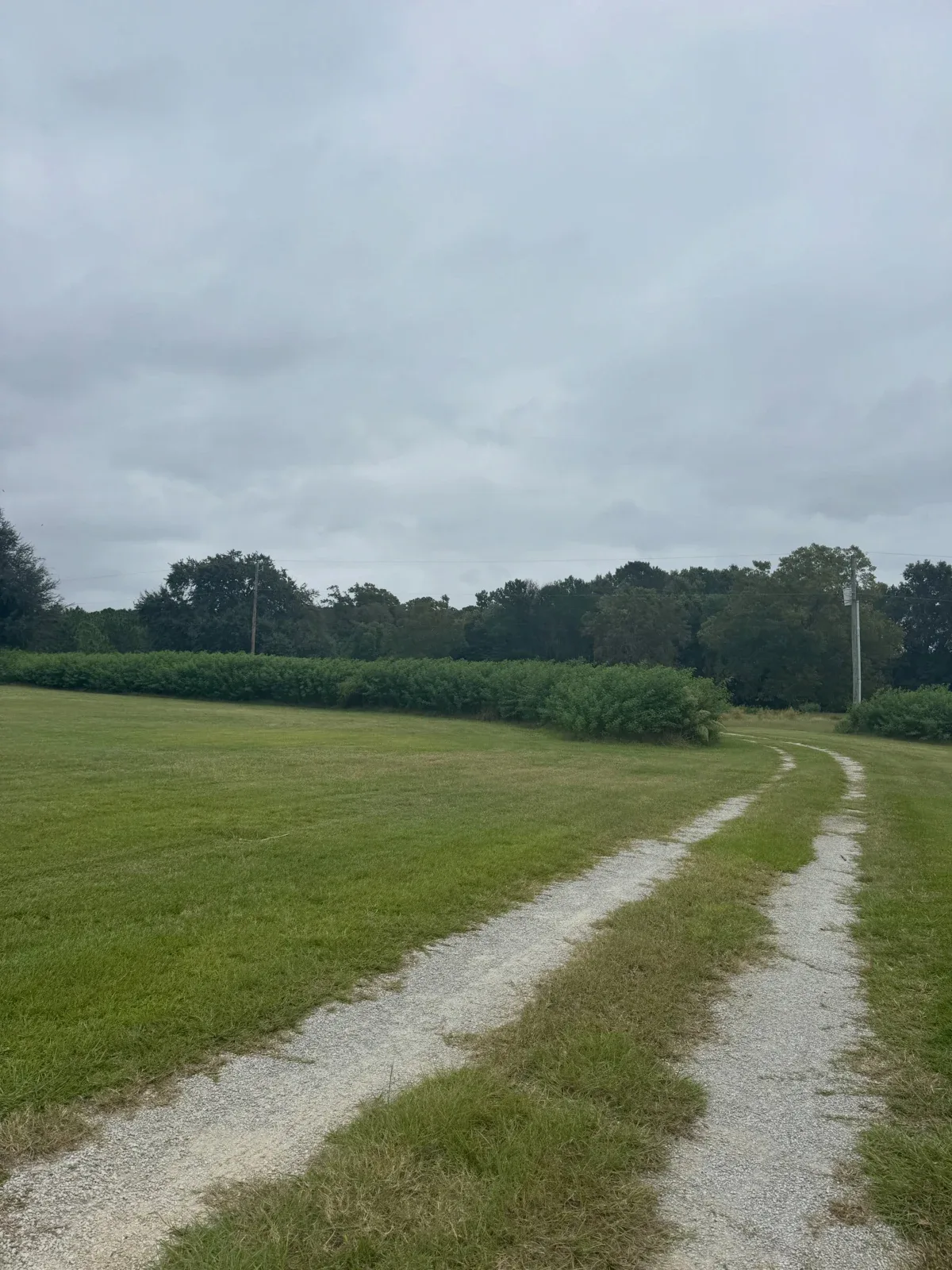 Photo by Align the Fibers on October 19, 2026. May be an image of road, grass and text.