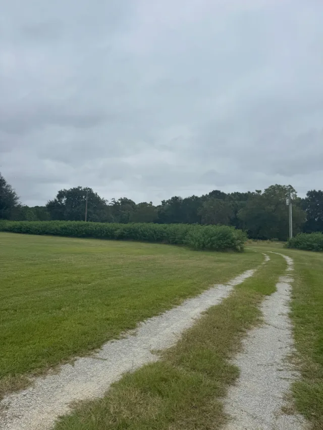 Photo by Align the Fibers on October 19, 2026. May be an image of road, grass and text.